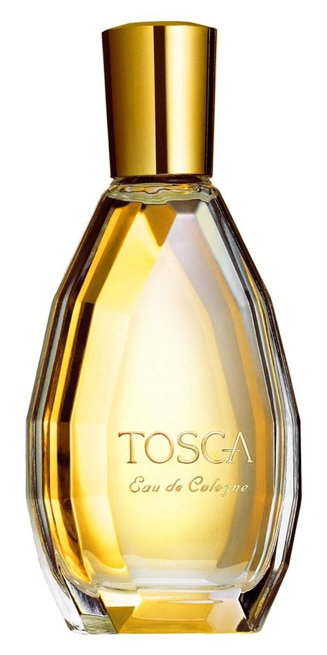 tosca perfume amazon.